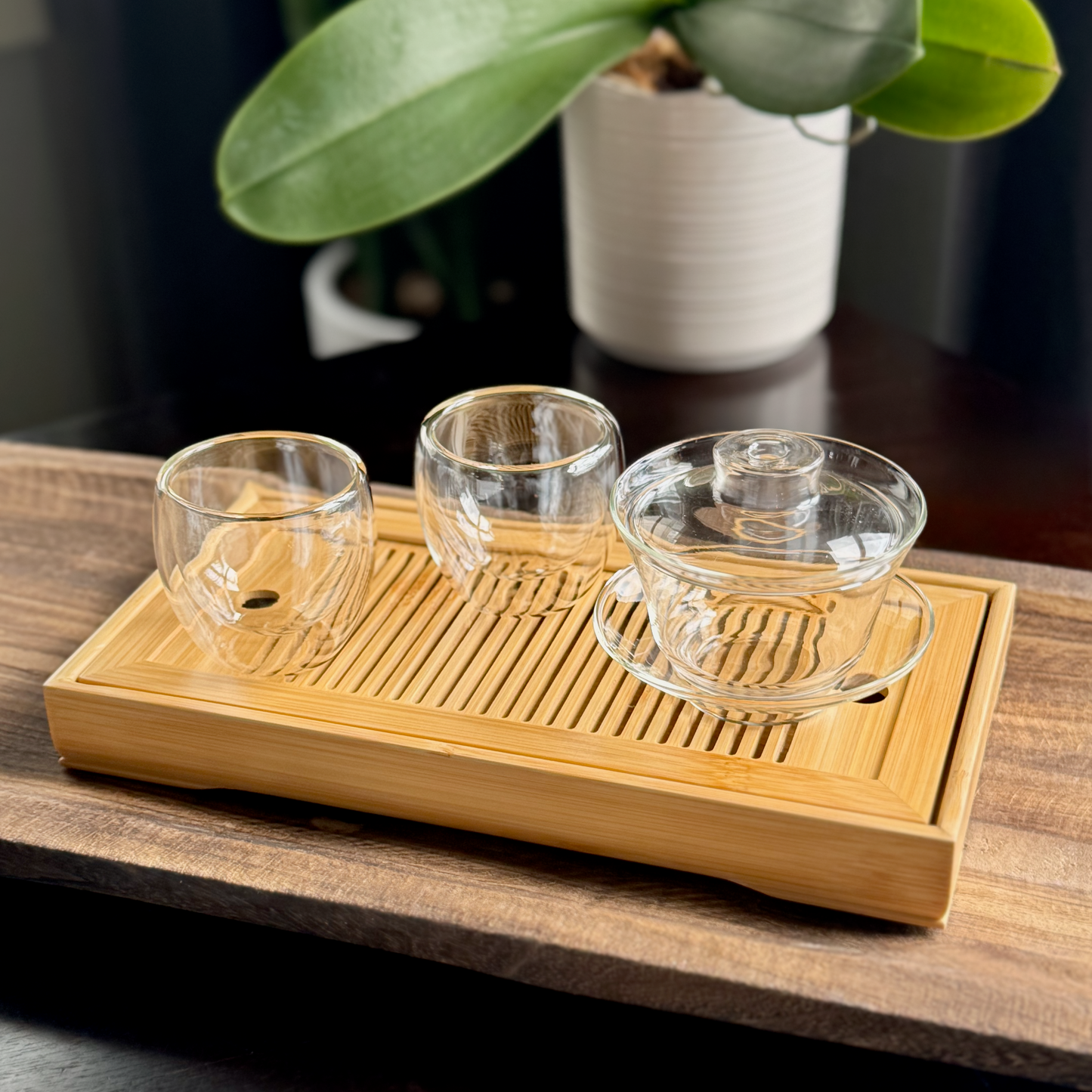 Gongfu Starter Box