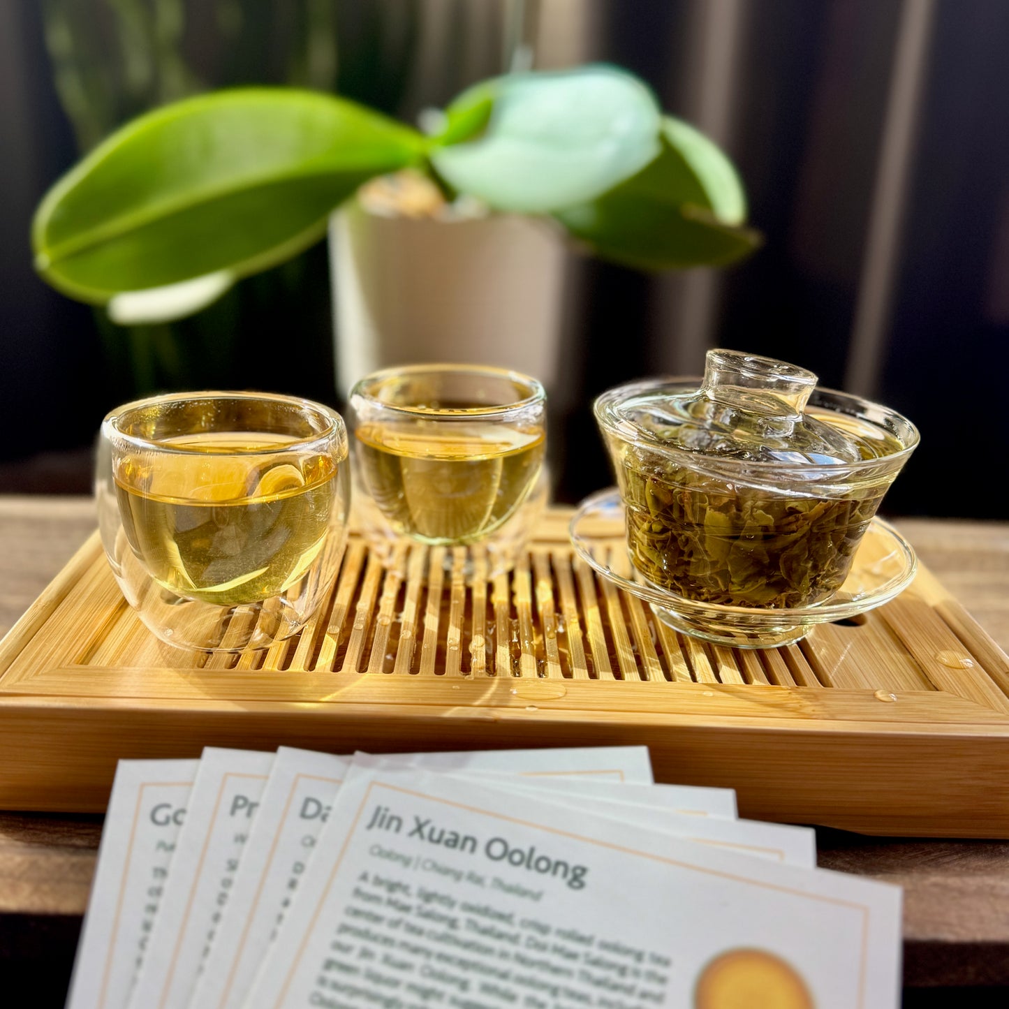 Gongfu Starter Box