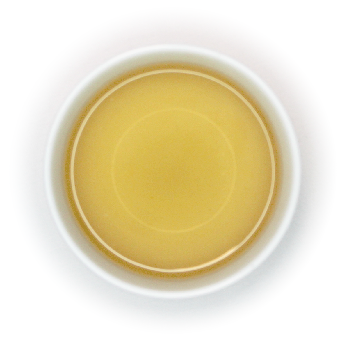 Magnolia Oolong